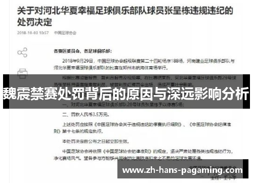 魏震禁赛处罚背后的原因与深远影响分析
