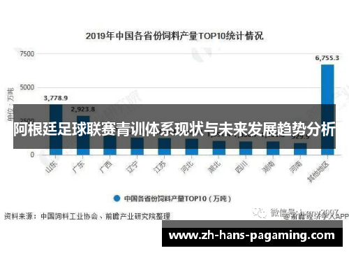 阿根廷足球联赛青训体系现状与未来发展趋势分析